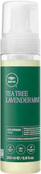 Paul Mitchell Lavender Mint Αφρός Μαλλιών Μπούκλες Curl Refresh 200ml Paul Mitchell Lavender Mint Αφρός Μαλλιών Μπούκλες Curl Refresh 200ml