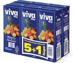 Viva Сок 9 Плода 250мл 1бр 5203342510274