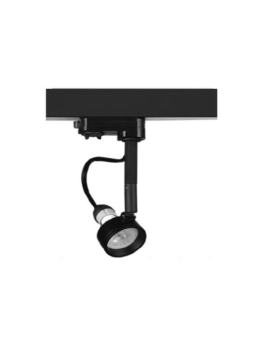 Universe Single Spot in Black Color