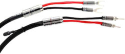 Atlas Cables Mavros Grun