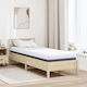 vidaXL Single Saltea de Apă 70x200x16cm
