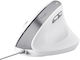 Trust Bayo II Wired Ergonomic Mouse White