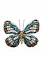Ac Bară de guler Royal Butterfly