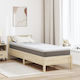 vidaXL Matratzenauflage Einzel Polyester 80x200x5cm
