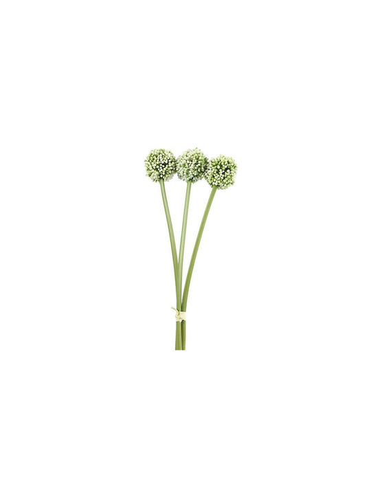 Allium Κρεμ X3 55εκ