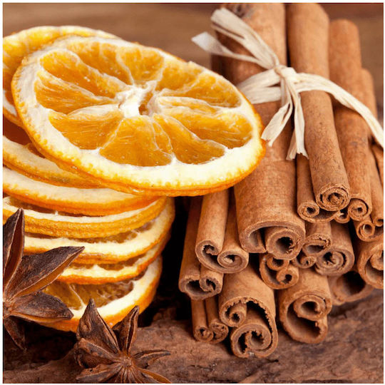 Gerakis Refill Liquid for Diffuser with Fragrance Cinnamon 003928OCI