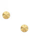 Polytimo Earrings made of Gold 9K with Diamond