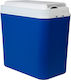 Benson Portable Fridge 24L 12V