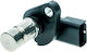 Senzor Pozitie Arbore Cotit Ckp Chrysler Mitsubishi Dodge