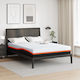 vidaXL Double Saltea 140x200x25cm