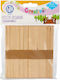 Astra Stick Foodservice Disposable 50pcs