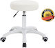 Salon Stools Scaun