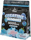 Pole Nutrition Creatine Gummies 60 Желирани бонбони 5000мг Blue Raspberry