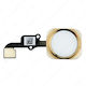 Καλωδιοταινία Home Button Iphone 6 6 Plus Λευκό Χρυσό