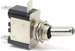 Car Replacement Toggle Switch Led 12V 25A ASW-07D Silver