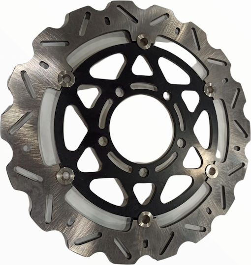 Pro-Race Front Brake Disc for Kawasaki Z750