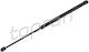 Trunk Shock Door Nissan Micra K13 10
