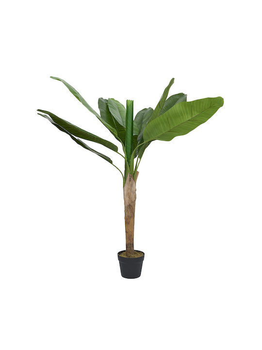 Μπανανιά σε Γλάστρα 120cm The Home Deco Factory