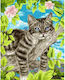 Twoje Hobby Set de Colorat 50x40cm