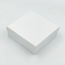 Giannopoulos White Box