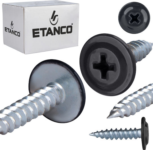 Etanco Screw with Diameter M4.2 and Length 19mm 250pcs