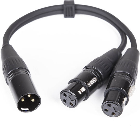 Master Audio Cable XLR female / XLR male - 2 x XLR female Μαύρο 0.3m CY100