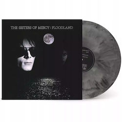 Floodland Vinyl Floodland Vinyl