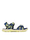 Shoe Sandals Blue