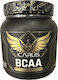 Icarus Nutrition Icarus 300gr Mango