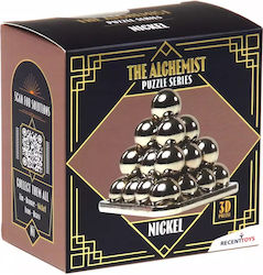 Recent Toys Puzzle