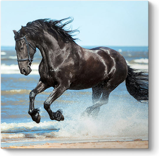 Megapap Black Horse Painting on Canvas 60x60cm