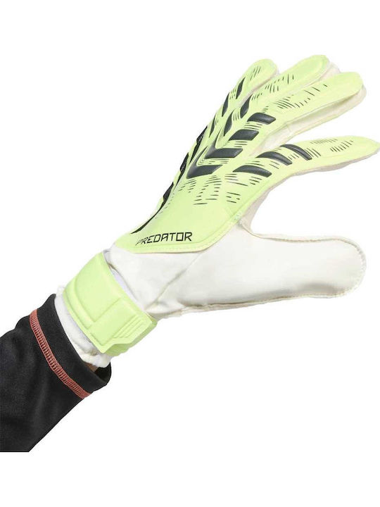 adidas Pred Gl Trn Γάντια Τερματοφύλακα Ενηλίκων Κίτρινα