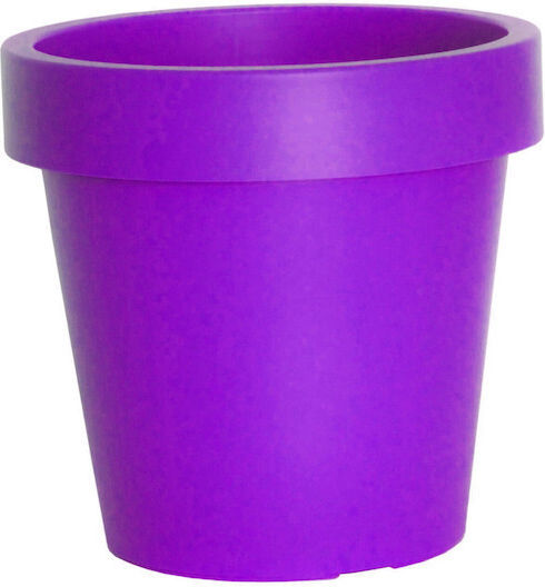 Viomes Topf Purple