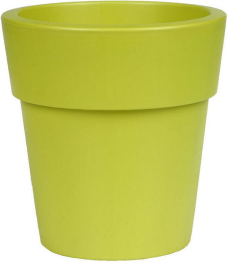 Viomes Саксия Green/yellow