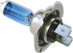Gazzenor Xenon Сет за Осветление H7 12V 6000К Хладно бяло