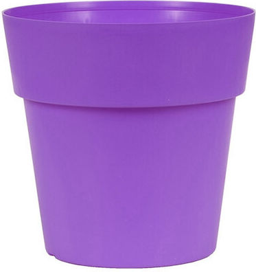 Viomes Topf Purple 11x11x10cm.