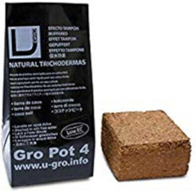 Pad pentru piscina Ugro Pot 0.5kg 4lt
