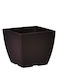 Κασπω Tetp Linea 2lt-15x15x12 5h Cm-μπρονζε