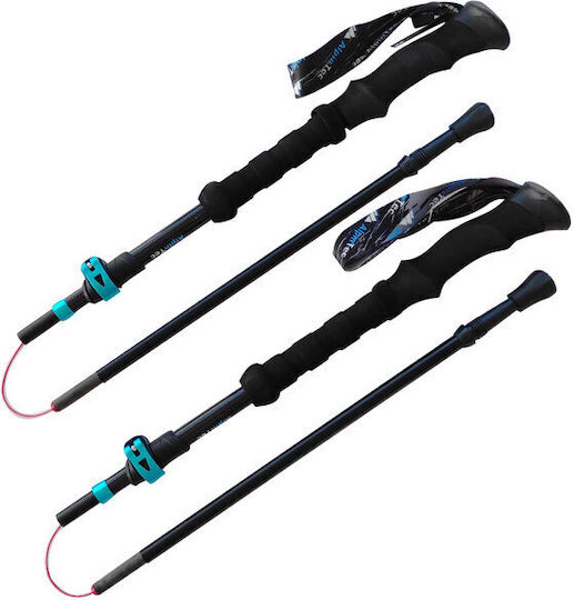 AlpinPro Fellow 14 Pliabile Baston de trekking din aluminiu 2 buc Negre