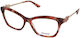 Guess Gu50231 068 Brillengestelle mit Rezept