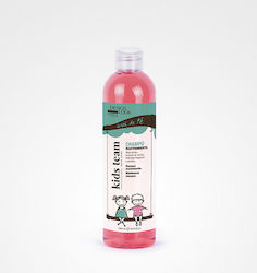Salon Tech Σαμπουάν 300ml Salon Tech Σαμπουάν 300ml