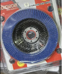 Zirconium Grinding Disc 125mm Noemon