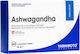 Yamamoto Nutrition Ashwagandha KSM-66 300mg 60 Tabletten
