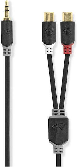 Nedis Audio Kabel Klinkenstecker 3,5mm Männlich Zu Doppel RCA-Buchse 0,2m Anthrazitgrau