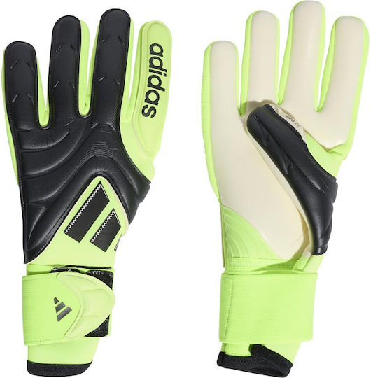 adidas Copa Gl Pro Adults Goalkeeper Gloves Green