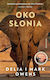 Oko Słonia