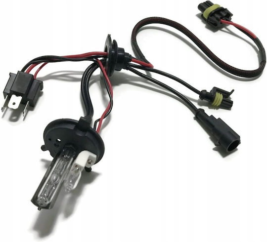 Interlook Xenon Set de Iluminare H4 Can bus 110W 12V