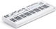 Novation Launchkey with 49 Keys White