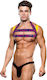 Envy Ανδρικό Harness Μπλε