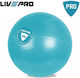Live Pro Core Μπάλα Pilates 65cm , 1.2kg σε Τιρκουάζ Χρώμα